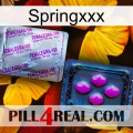 Springxxx 37